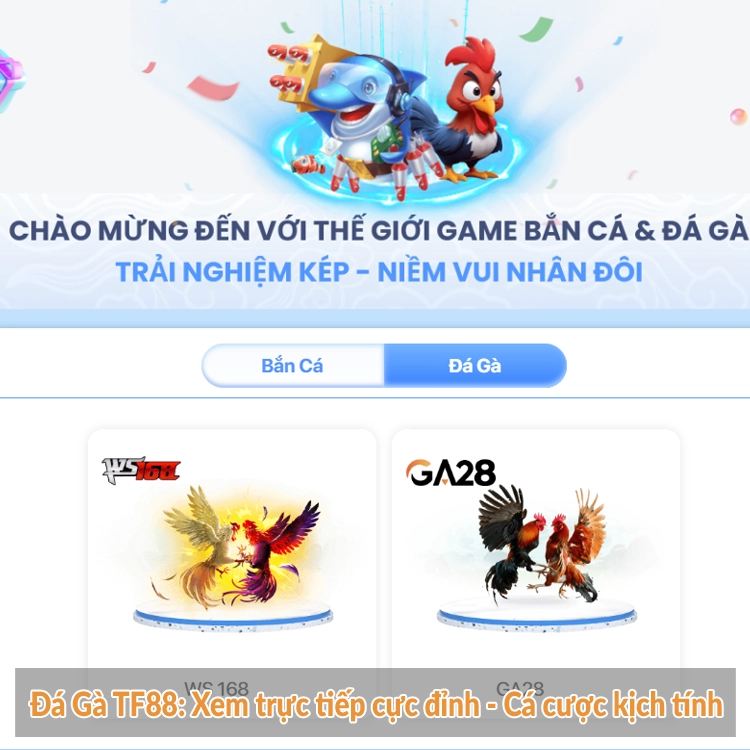 Đá Gà TF88: Xem trực tiếp cực đỉnh – Cá cược kịch tính Đá Gà TF88: Xem trực tiếp cực đỉnh - Cá cược kịch tính