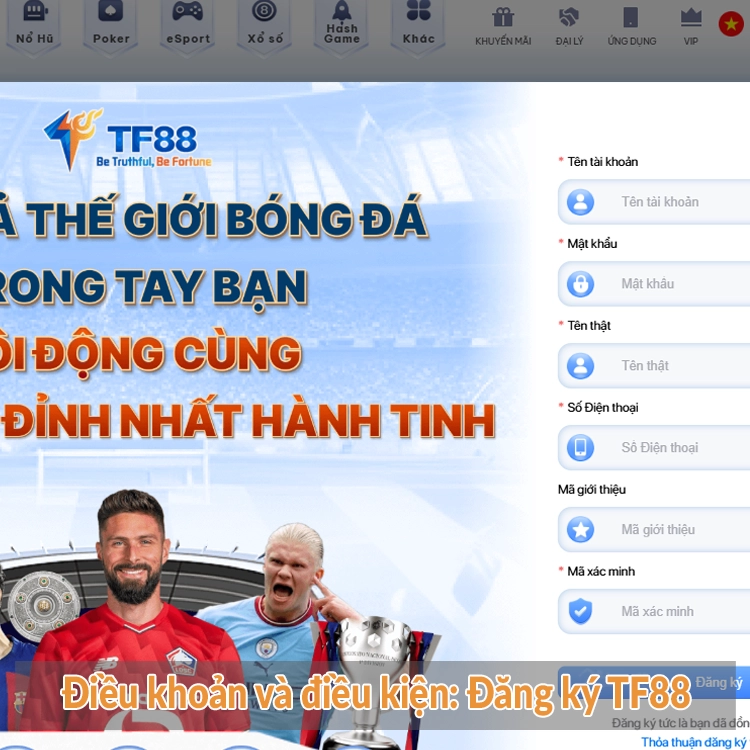 Điều khoản và điều kiện Đăng ký TF88