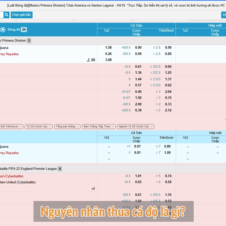 Nguyên nhân thua cá độ là gì? Nguyên nhân thua cá độ là gì?